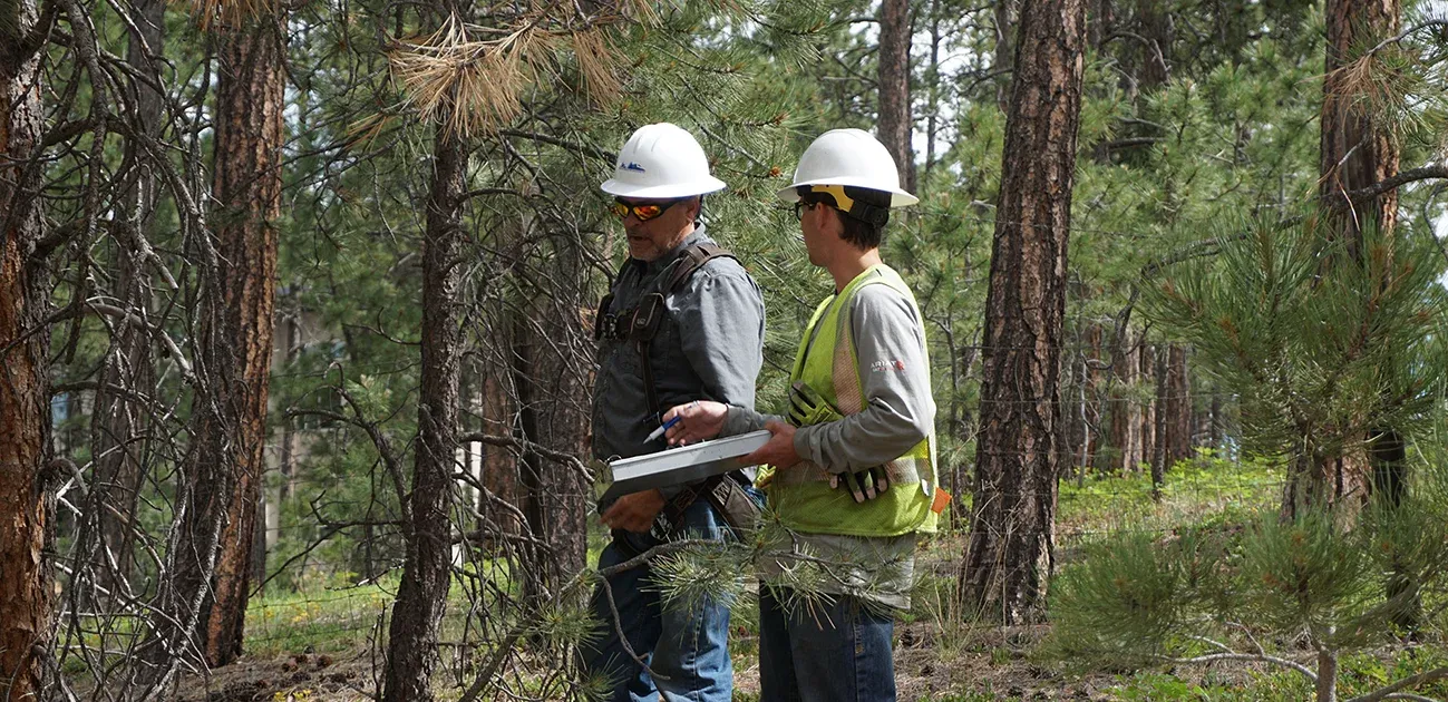 men in work hats in the forest assessing fire mitigation plans